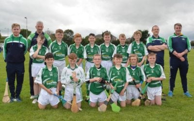 PJ Troy Hurling Tournament Division 2 (2016)