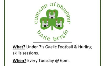 O’Dwyers U7 Team